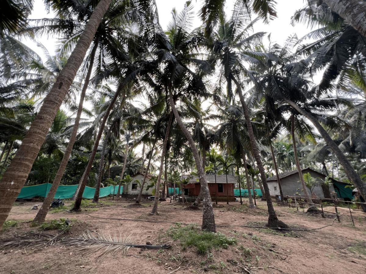 Hostelexp, Gokarna - A Slow-Paced Backpackers Community Εξωτερικό φωτογραφία