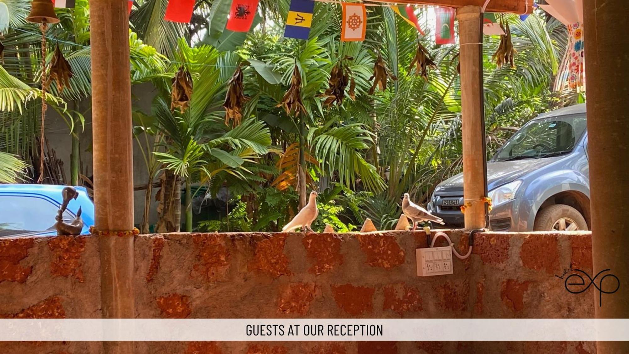 Hostelexp, Gokarna - A Slow-Paced Backpackers Community Εξωτερικό φωτογραφία