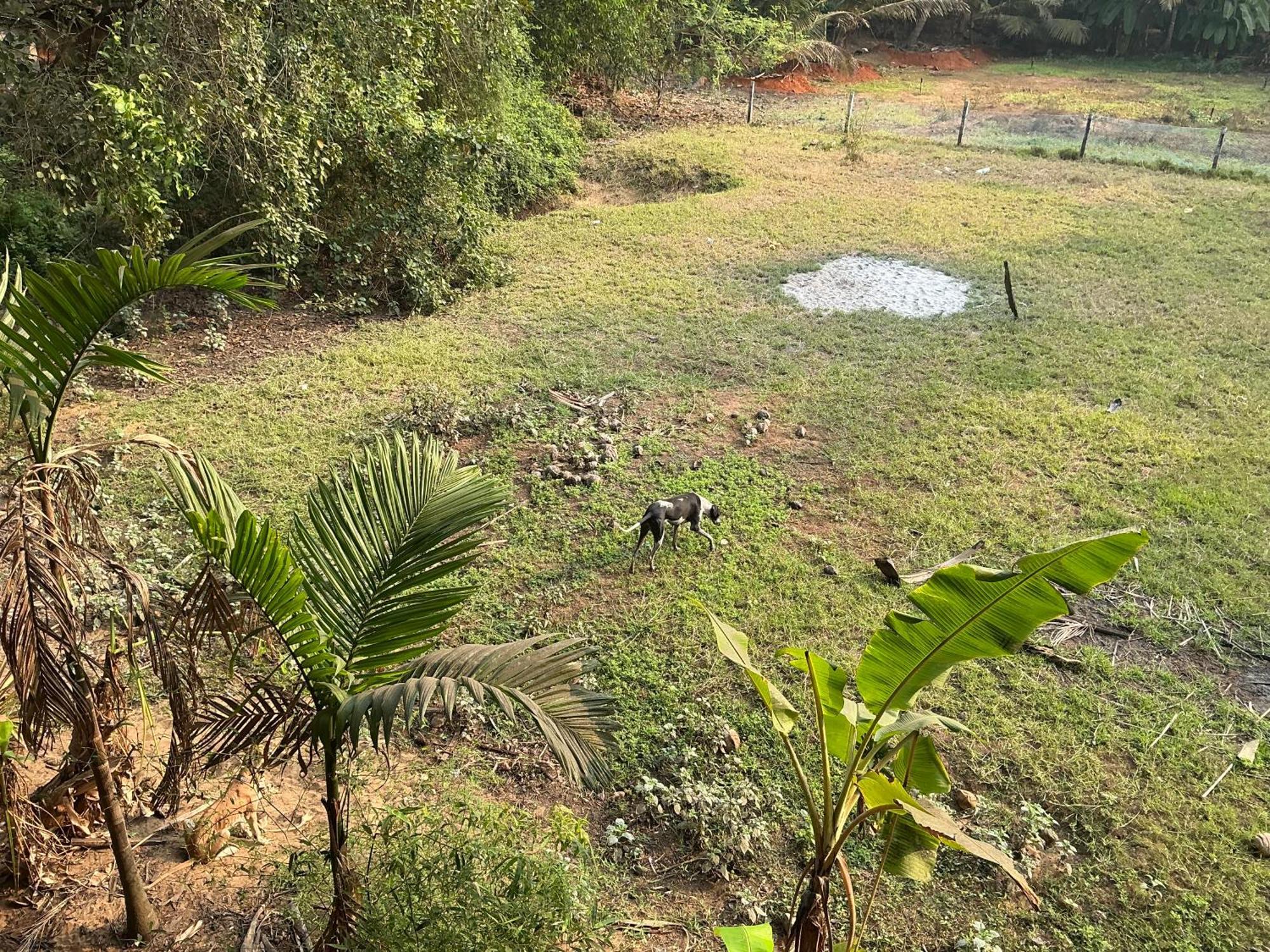 Hostelexp, Gokarna - A Slow-Paced Backpackers Community Εξωτερικό φωτογραφία